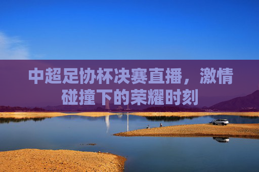 中超足协杯决赛直播，激情碰撞下的荣耀时刻