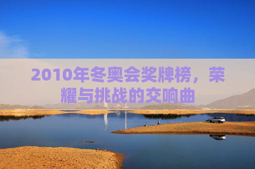 2010年冬奥会奖牌榜，荣耀与挑战的交响曲
