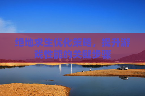 绝地求生优化策略，提升游戏性能的关键步骤