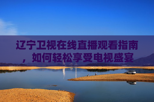 辽宁卫视在线直播观看指南，如何轻松享受电视盛宴