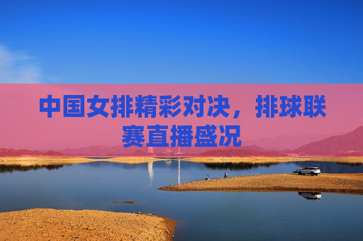 中国女排精彩对决，排球联赛直播盛况