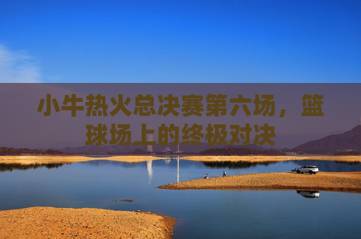 小牛热火总决赛第六场，篮球场上的终极对决