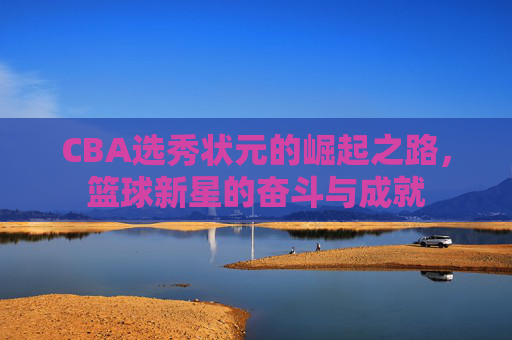 CBA选秀状元的崛起之路，篮球新星的奋斗与成就