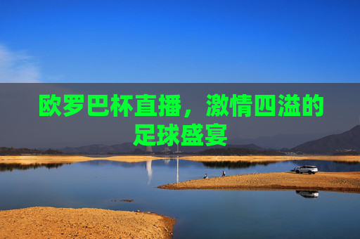 欧罗巴杯直播，激情四溢的足球盛宴
