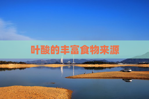 叶酸的丰富食物来源
