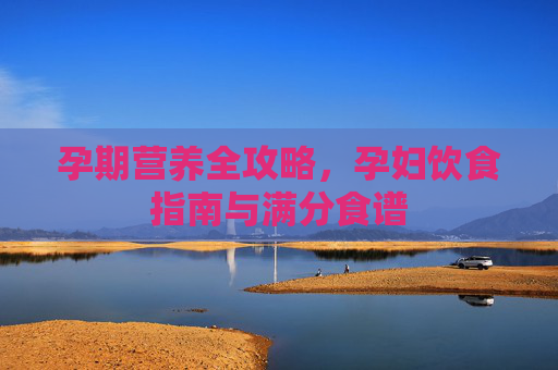 孕期营养全攻略，孕妇饮食指南与满分食谱