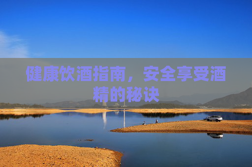 健康饮酒指南,安全享受酒精的秘诀 健康饮酒指南,安全享受酒精的秘诀