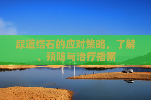 尿道结石的应对策略，了解、预防与治疗指南