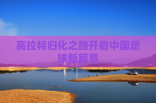 高拉特归化之路开启中国足球新篇章