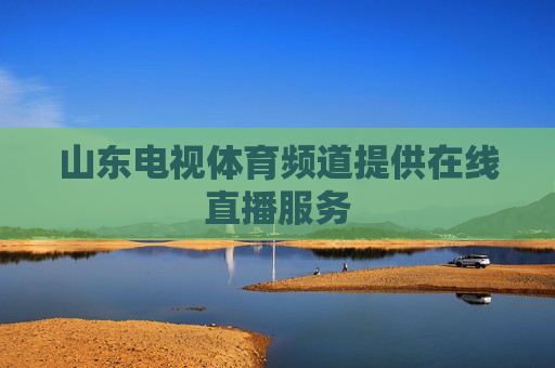 山东电视体育频道提供在线直播服务
