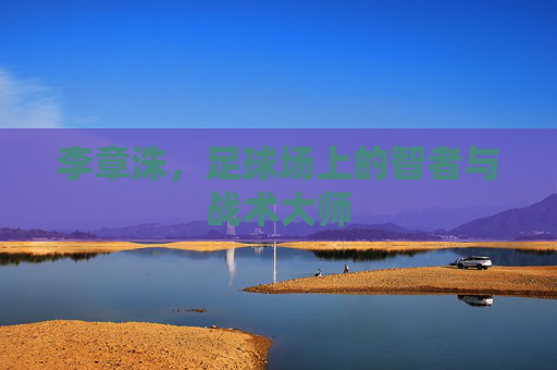 李章洙，足球场上的智者与战术大师