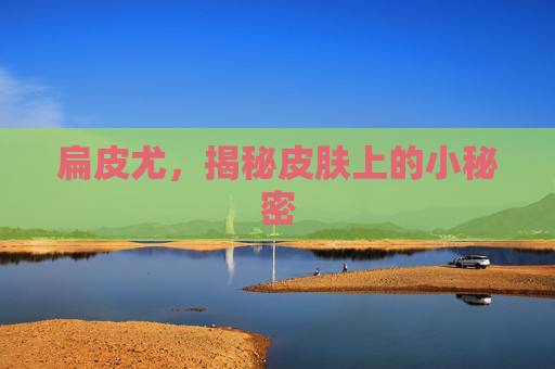 扁皮尤，揭秘皮肤上的小秘密