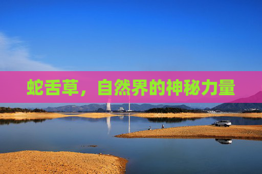 蛇舌草，自然界的神秘力量