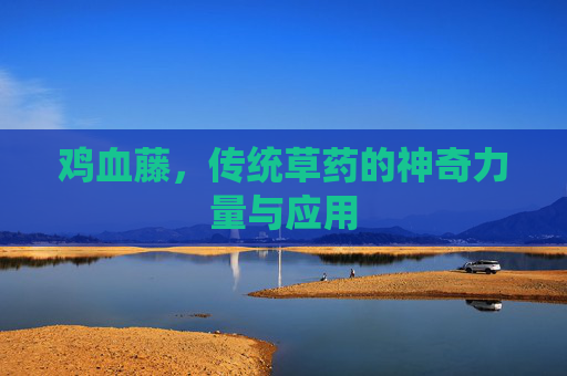 鸡血藤，传统草药的神奇力量与应用