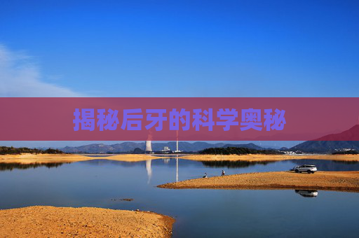 揭秘后牙的科学奥秘