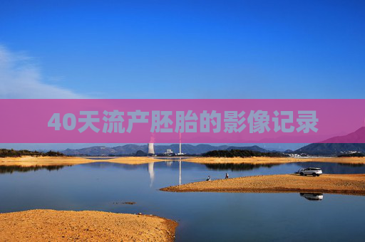 40天流产胚胎的影像记录