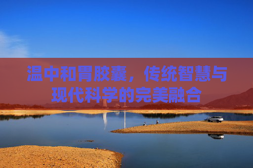 温中和胃胶囊，传统智慧与现代科学的完美融合