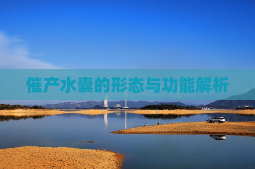 催产水囊的形态与功能解析