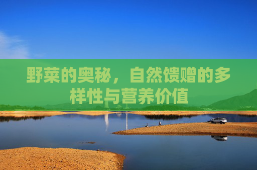 野菜的奥秘，自然馈赠的多样性与营养价值
