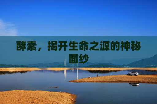 酵素，揭开生命之源的神秘面纱