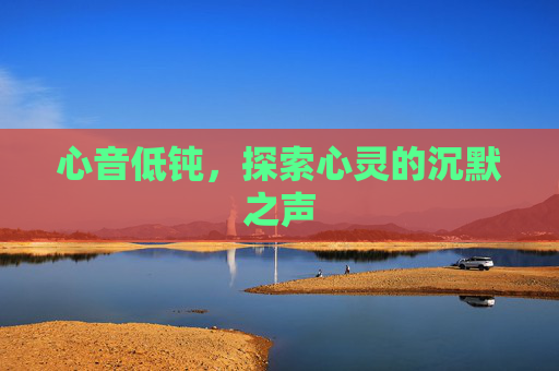 心音低钝，探索心灵的沉默之声