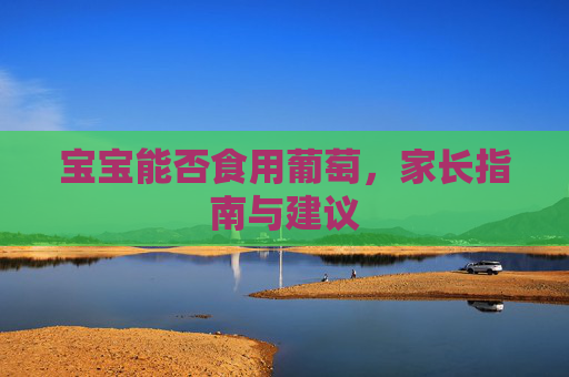 宝宝能否食用葡萄，家长指南与建议
