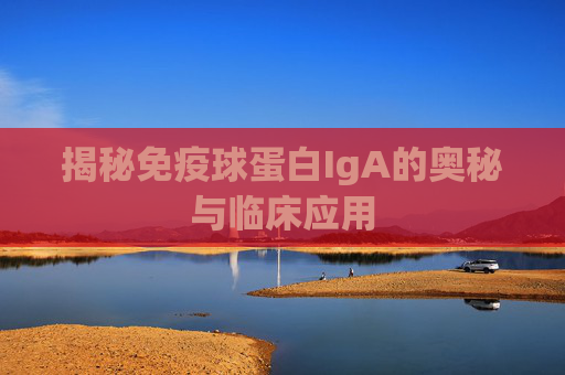 揭秘免疫球蛋白IgA的奥秘与临床应用