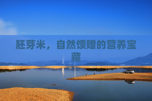 胚芽米，自然馈赠的营养宝藏