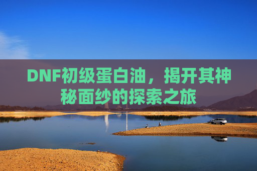 DNF初级蛋白油，揭开其神秘面纱的探索之旅