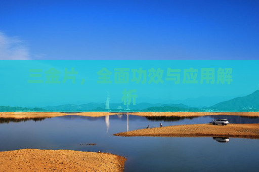 三金片，全面功效与应用解析