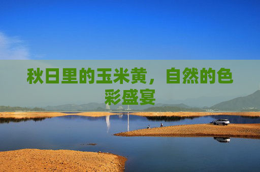 秋日里的玉米黄，自然的色彩盛宴