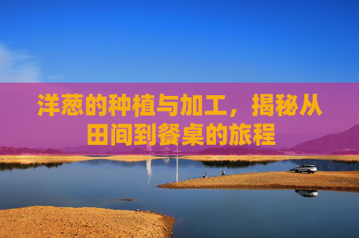 洋葱的种植与加工，揭秘从田间到餐桌的旅程