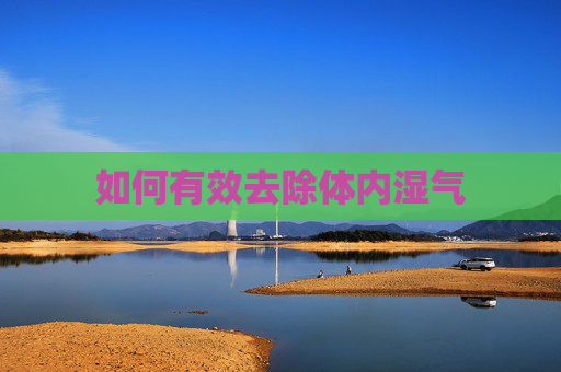 如何有效去除体内湿气