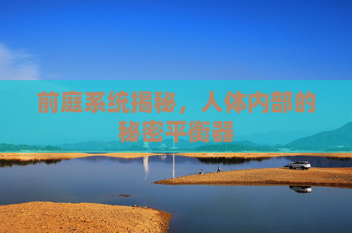 前庭系统揭秘，人体内部的秘密平衡器