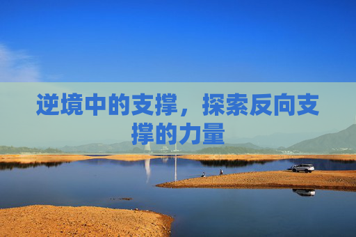 逆境中的支撑,探索反向支撑的力量 逆境中的支撑,探索反向支撑的力量