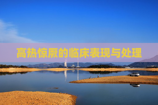 高热惊厥的临床表现与处理 高热惊厥的临床表现与处理