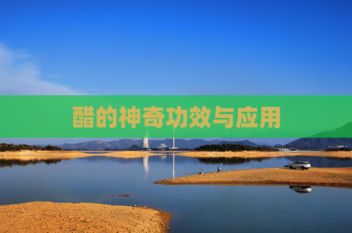 醋的神奇功效与应用