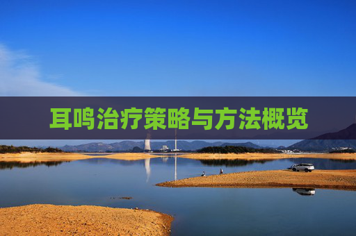 耳鸣治疗策略与方法概览