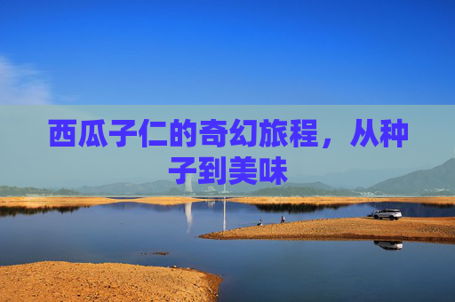 西瓜子仁的奇幻旅程,从种子到美味 西瓜子仁的奇幻旅程,从种子到美味