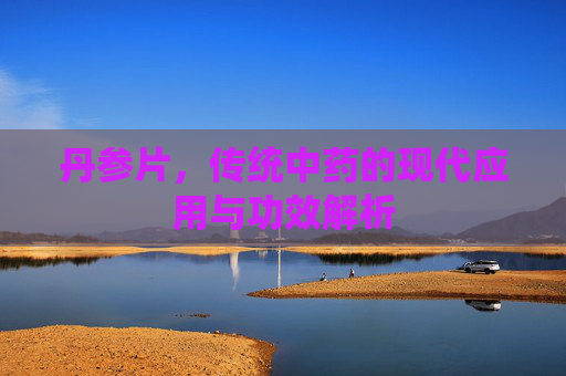 丹参片,传统中药的现代应用与功效解析 丹参片,传统中药的现代应用与功效解析