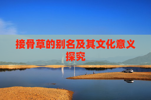 接骨草的别名及其文化意义探究