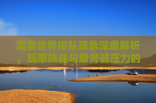 魔兽世界排队现象深度解析，玩家挑战与服务器压力的交织