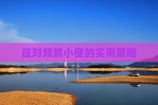 应对频繁小便的实用策略