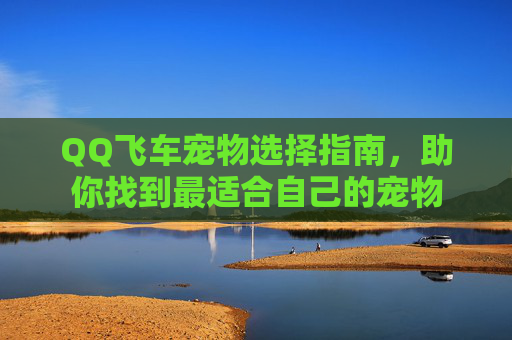 QQ飞车宠物选择指南，助你找到最适合自己的宠物