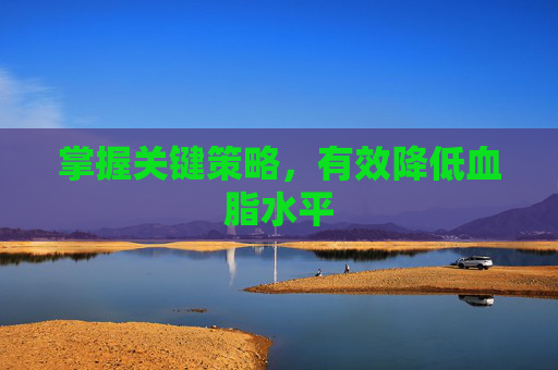 掌握关键策略，有效降低血脂水平