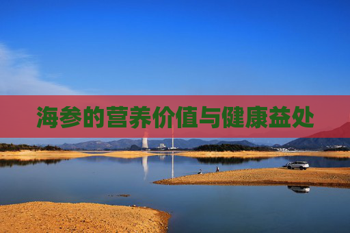 海参的营养价值与健康益处 海参的营养价值与健康益处