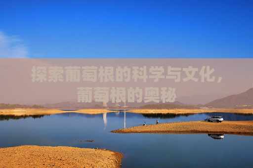 探索葡萄根的科学与文化，葡萄根的奥秘