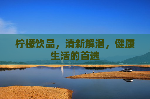 柠檬饮品，清新解渴，健康生活的首选