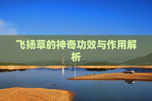 飞扬草的神奇功效与作用解析