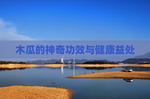 木瓜的神奇功效与健康益处
